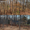 Before and After Photos Wolfe Forestry Mulching